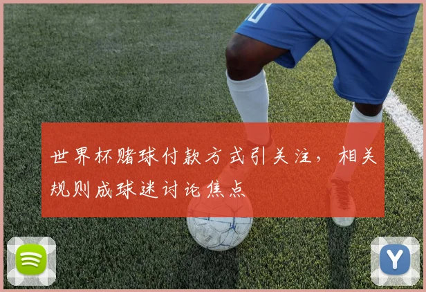 世界杯赌球付款方式引关注,相关规则成球迷讨论焦点