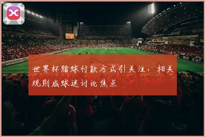 世界杯赌球付款方式引关注,相关规则成球迷讨论焦点